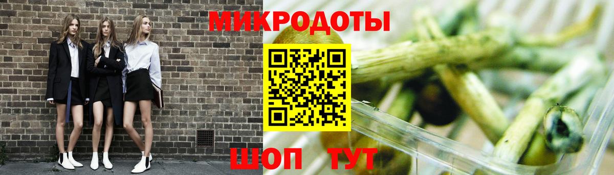 Псилоцибиновые грибы Cubensis Городец